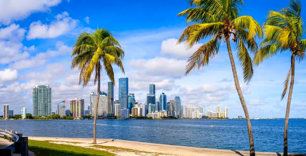 Vista panorámica del horizonte de Miami con edificios altos, cielo azul y palmeras junto al agua, destacando el atractivo de la ciudad.